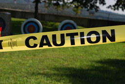Neuromyths and Edu-Ca$h-In: Vetting the "Expert" Claims