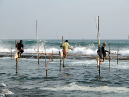 The Missing Link Between Local Knowledge and Fisheries Management