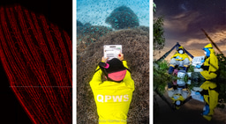 Call for Entries: 2026 BMC Ecology and Evolution & BMC Zoology Image Competition