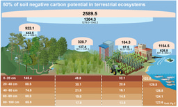 Mapping the hidden stable carbon reservoir beneath our feet