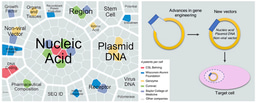 Evolution of Gene Therapy products : promising non-viral vector prospects from innovation patents