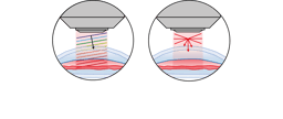 A paradigm shift for 3D optical imaging of biological tissues