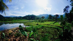 The medical ecological context of children