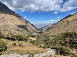 Ecosystems may access deeper water than our measurements suggest