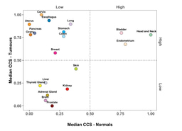Reclassifying tumour cell cycle activity in terms of its tissue of origin