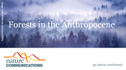 Celebrating International Day of Forests at Nature Communications