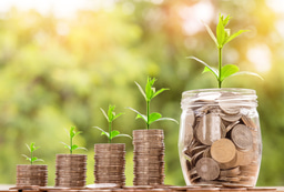 Advancing the SDGs through green finance