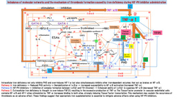 Pathways Through Which Iron Deficiency Under HIF-PH Inhibitor Administration Triggers Thrombosis and How to Handle It: A New Mechanism Proposal from the Six-Factor Theory of Erythropoiesis Control