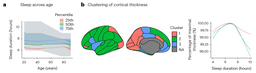 Unveiling the Mystery of Short Sleep: Is Less Really Bad for Your Brain?