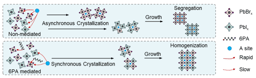 Phase-homogeneous mixed-halide perovskites for stable tandem photovoltaics
