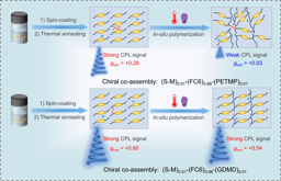 Achieving robust cholesteric liquid crystal polymer networks with high luminescence dissymmetry factor