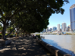 Building Australian Synthetic Biology: Q&A with Claudia Vickers (Part 1)