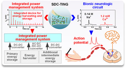 Efficient iontronics is needed in the post-Moore era