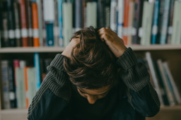 When crisis hits crisis: Doctoral researchers’ mental health and PhD training satisfaction during the German COVID-19 lockdown