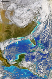 World Oceans Day 2016: Pollution on unprecedented scales