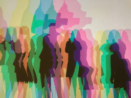 June Highlights from the Humanities & Social Sciences Communities