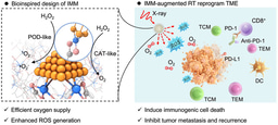 IrMn‑Cluster‑Based Artificial Metalloenzymes with Radiosensitized Systemic Antitumor Responses to Prevent Malignant Tumor Metastasis and Recurrence