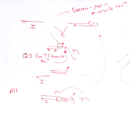 Turning a Bug into a Feature: The Story of Polymerase Strand Recycling (PSR)
