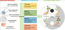 Connecting the Dots Between Plants, the Gut, and Mental Health