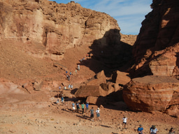 Building bridges between biologists and engineers