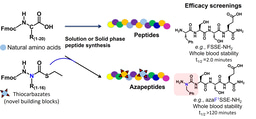 Advancing Azapeptides- A novel platform to expedite azapeptide synthesis and accelerate therapeutics development