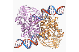 Call for papers: The Mobile Genome