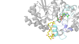New enzyme driven platform delivers safer and more potent antifungal drugs
