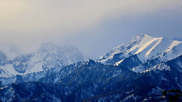 The Ice Man: ancient microbiomes, environmental influences and a dynamic microbial ecosystem