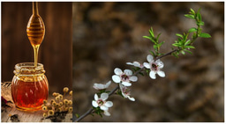 Why is Manuka Honey Unique?