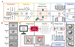 When Images Become Sorting Signals in Droplet Microfluidics