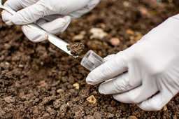 Call for papers: Functional Soil Ecology