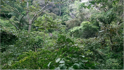 Humans are encroaching into wildlife gut microbiomes with potentially dire consequences