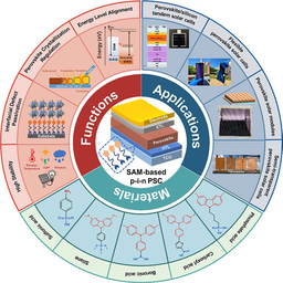 Designing Efficient Inverted Perovskite Solar Cells with Self-Assembled Monolayer Hole Transport Layers
