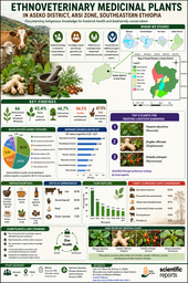 Traditional Plant Remedies Keeping Livestock Healthy in Rural Ethiopia
