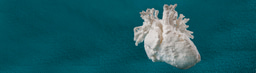 Call for papers: 3D bioprinting of cells, tissues and organs