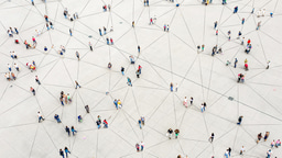 Editor's choice collection: epidemiological modelling