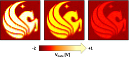 Dirac plasmon-assisted asymmetric hot carrier generation for room-temperature infrared detection