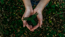 What are SDG Topics? 