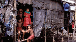 Governance at the Grassroots: How Local Actions Shape Urban Sustainability in Bangladesh