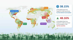 Forest loss is increasingly driven by international consumption