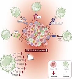 Harnessing the potential of CAR-NK cell therapy in gastrointestinal cancers: From bench to bedside