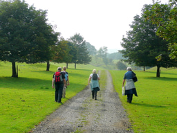 Can Leisure-Time Physical Activity Help Offset Genetic Risk?