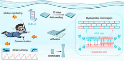 Hydrophobic Eutectogels Reinforced by Zn2+-Coordinated Lignin Nanoparticles for Underwater Wearable Electronics