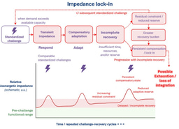 When Energy Is Available but Cannot Flow: The Story Behind Bioenergetic Impedance