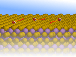 Nanoscopic diffusion of water on a topological insulator
