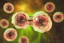 Call for papers: Pluripotency, differentiation, and reprogramming Collection 
