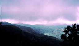 Humboldt's climate change vision in the African mountains