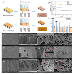 A Smarter Way to Build Better Water Filters – Breaking the Rules of Membrane Design