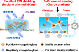 Self‑Oriented Gradient Ionic Skins for Dual‑Function Electromagnetic Shielding and Self‑Powered Sensing