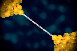 Pushing the Limits of Carbon: How We Found an Oligoyne-to-Cumulene Transition in 1D Carbon Wires